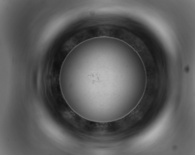 X0000101390382200807141139