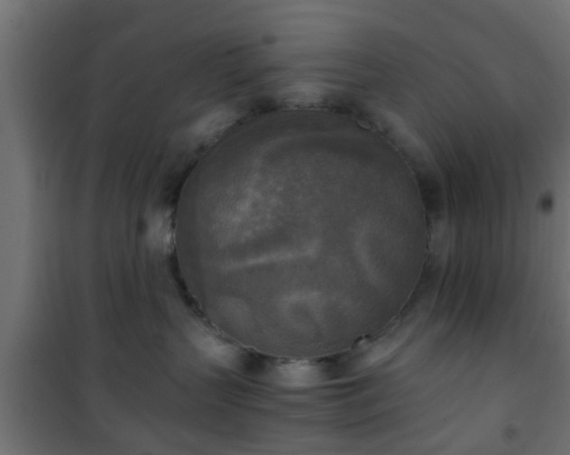 X0000101390383200807141139