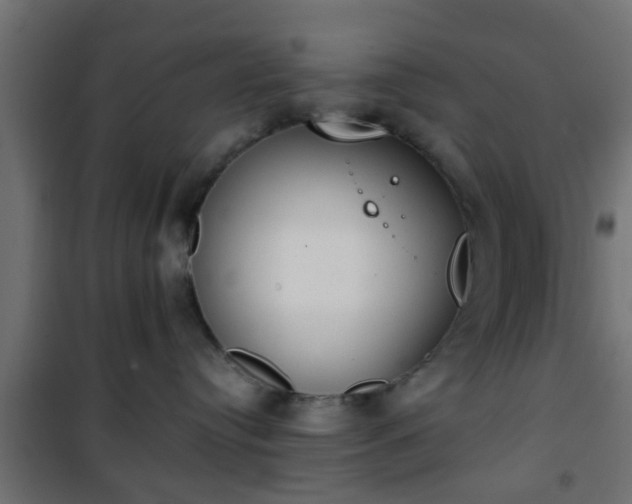 X0000101390384200807141139