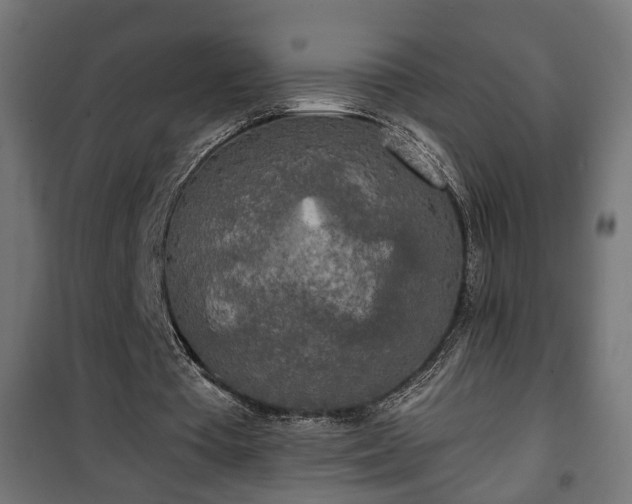 X0000101390385200807141138