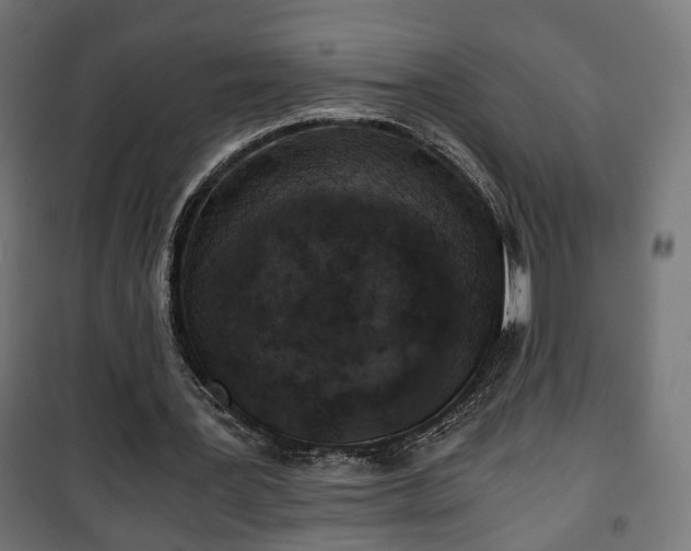 X0000101390387200807141138