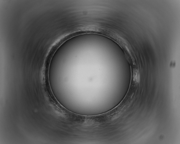 X0000101390388200807141138