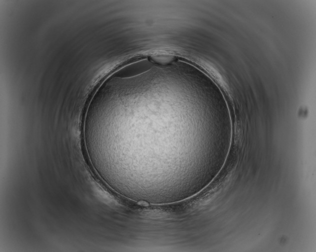 X0000101390389200807141138