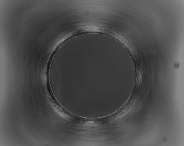 X0000101390390200807141138