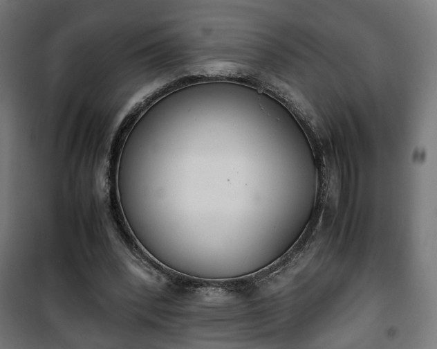 X0000101390392200807141138