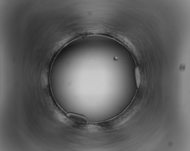 X0000101390393200807141137