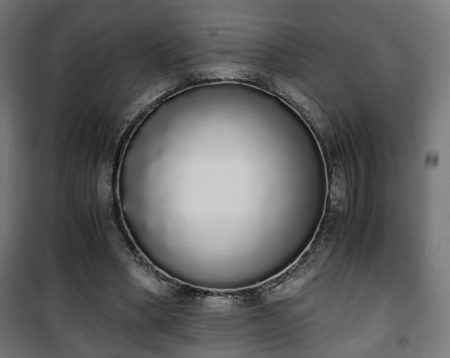 X0000101390394200807141137