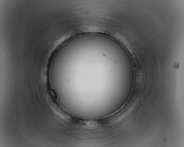 X0000101390395200807141137