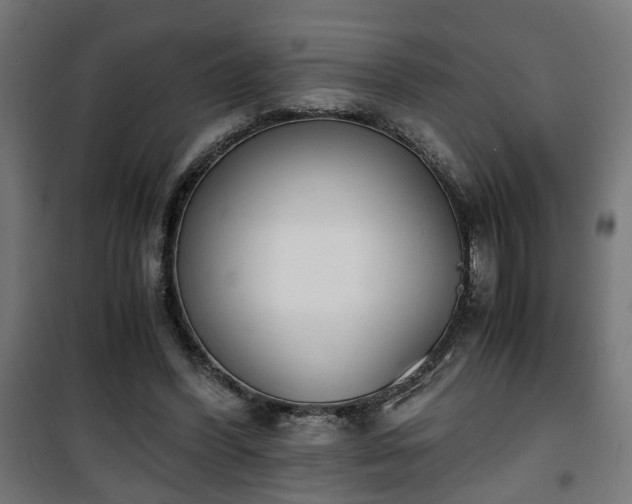 X0000101390396200807141137