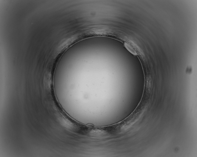 X0000101390397200807141137