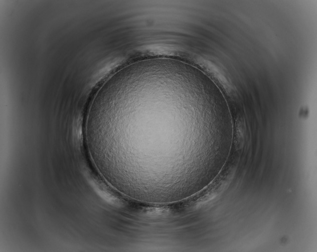 X0000101390398200807141137