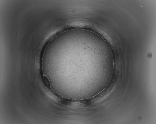 X0000101390399200807141137