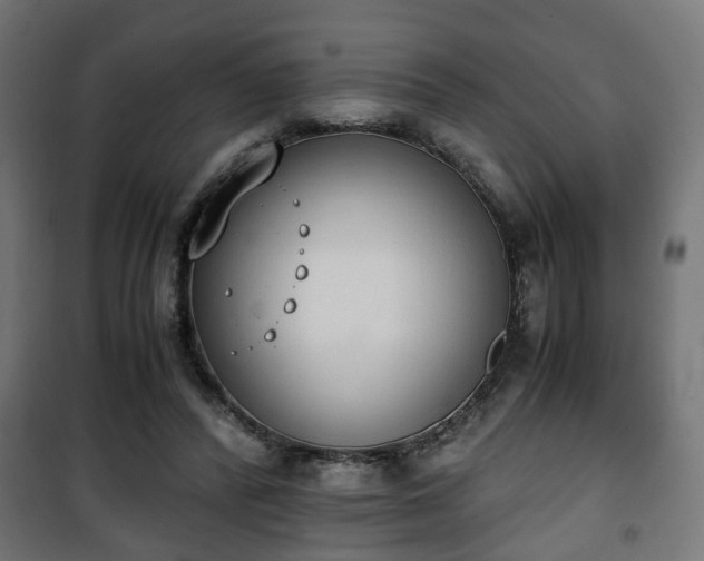 X0000101390400200807141137