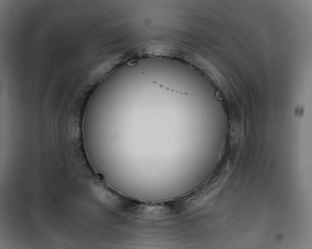 X0000101390401200807141137