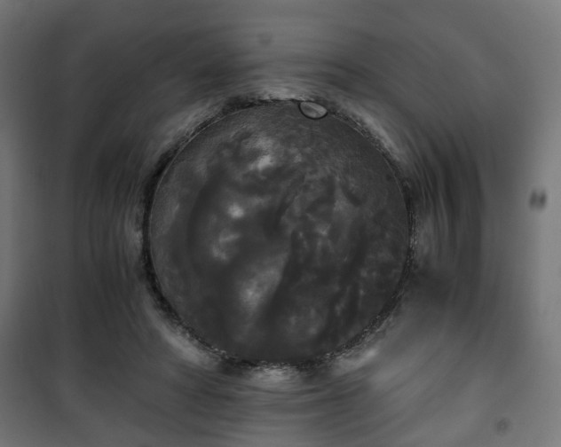 X0000101390402200807141137