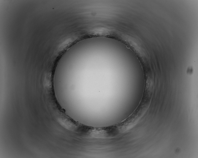 X0000101390403200807141137