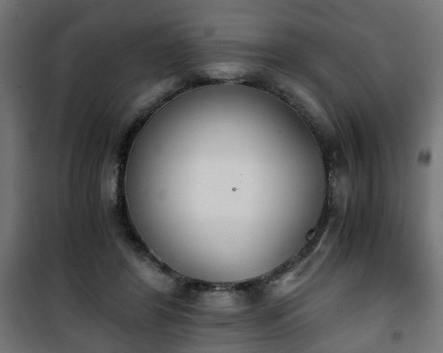 X0000101390404200807141137