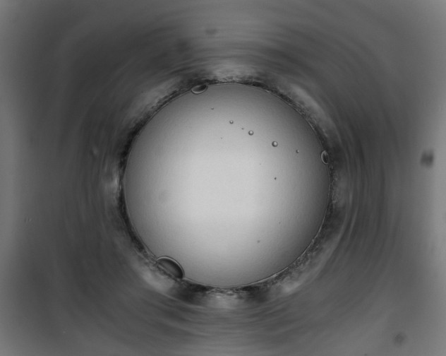 X0000101390405200807141137