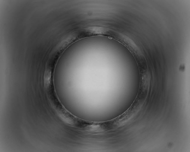 X0000101390406200807141137