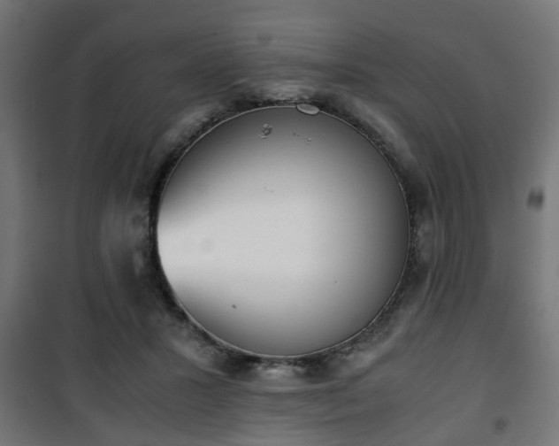 X0000101390407200807141137