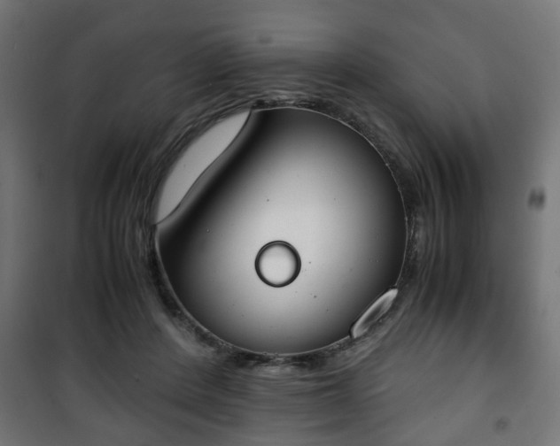 X0000101390408200807141137