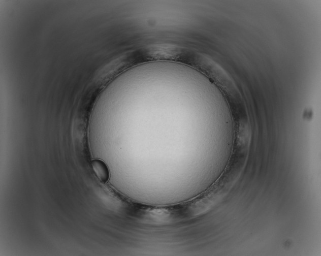 X0000101390409200807141137