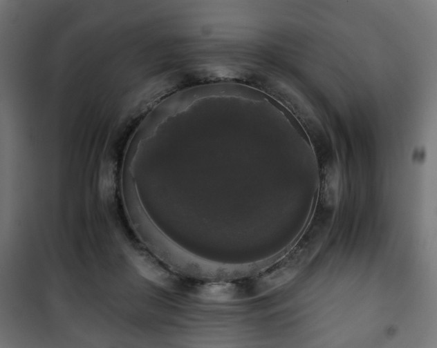 X0000101390410200807141137