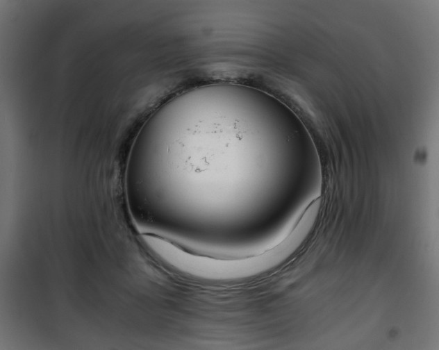 X0000101390411200807141137