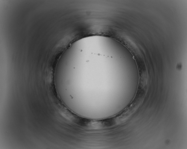 X0000101390413200807141137