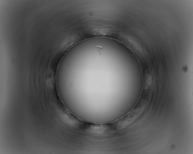 X0000101390414200807141137