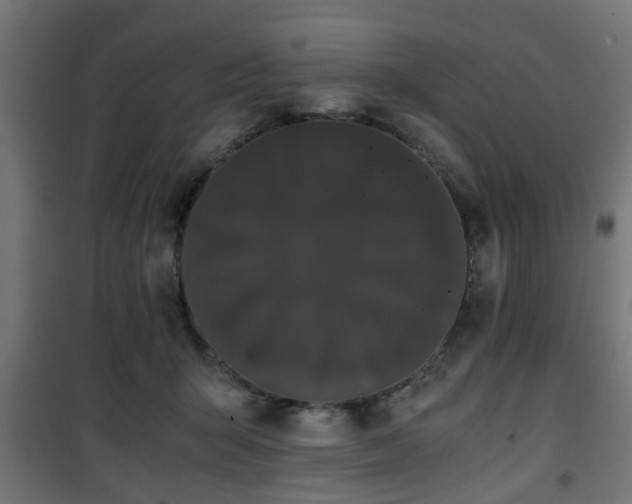 X0000101390415200807141137