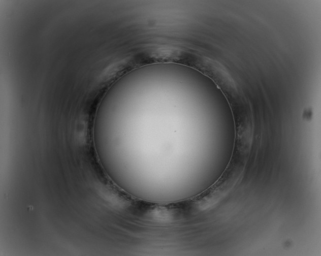 X0000101390416200807141137