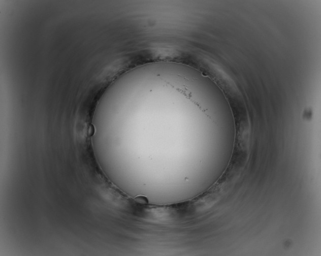 X0000101390417200807141137