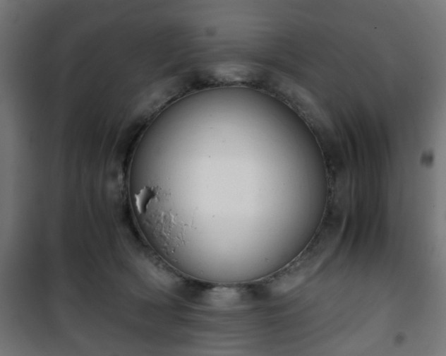 X0000101390418200807141137