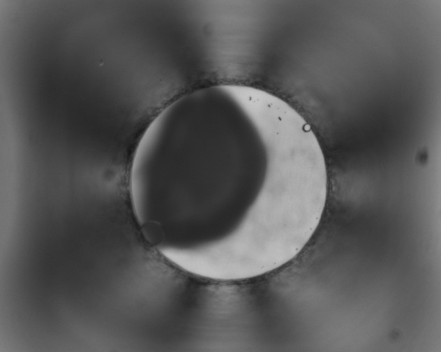 X0000101390419200807141137