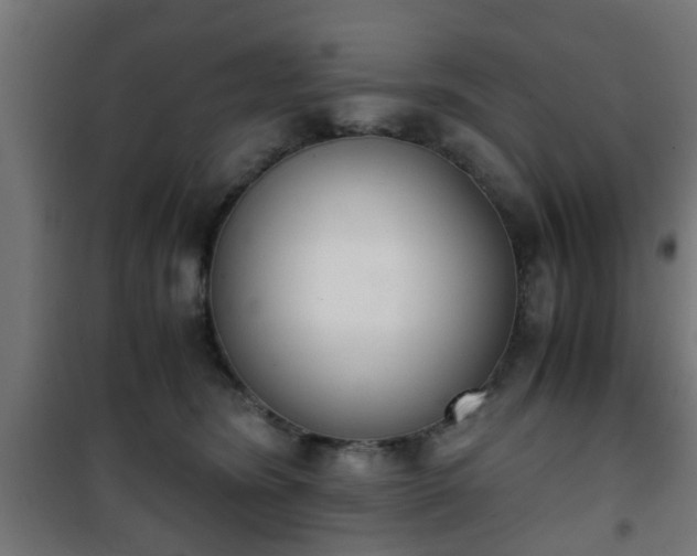 X0000101390420200807141137