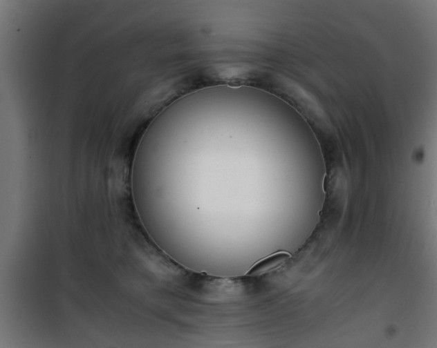 X0000101390421200807141137