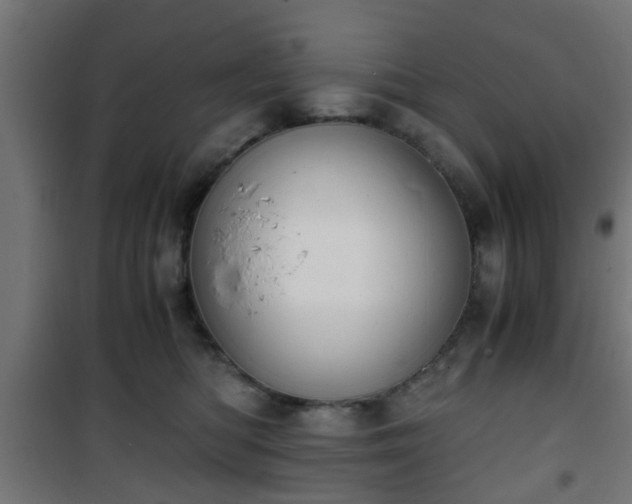 X0000101390422200807141137