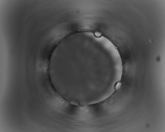 X0000101390423200807141137