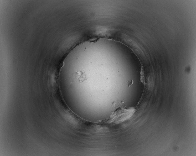 X0000101390424200807141137