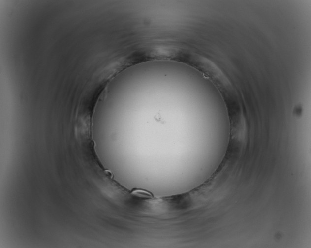 X0000101390425200807141137