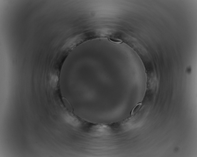 X0000101390427200807141137