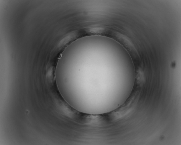 X0000101390428200807141137