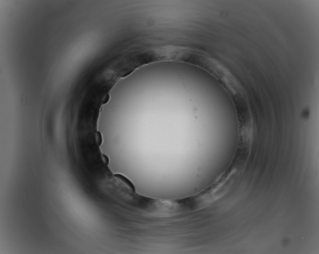 X0000101390429200807141137