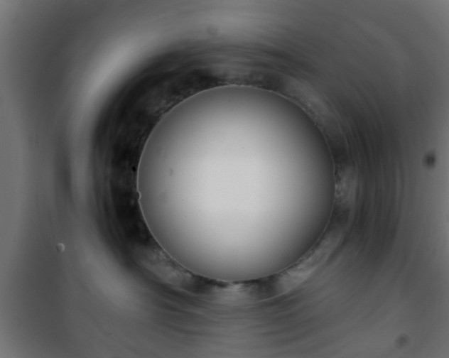 X0000101390430200807141137