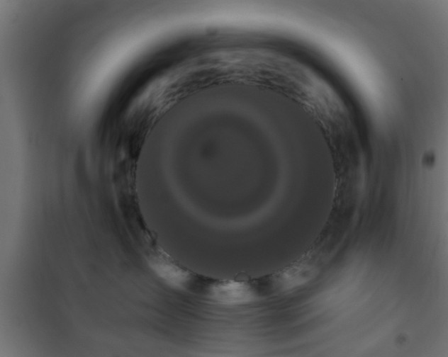 X0000101390431200807141137