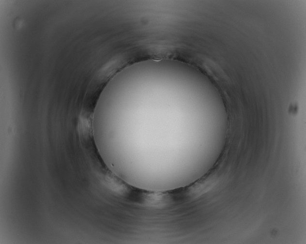 X0000101390432200807141137