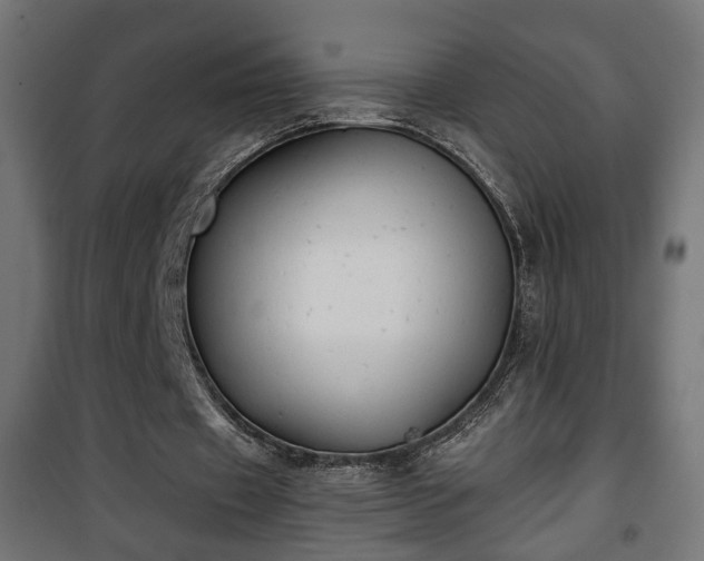 X0000101390433200807141136