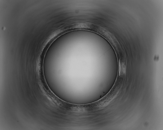 X0000101390435200807141136