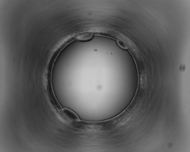 X0000101390436200807141136